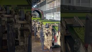 Ctc machine | Arunachal Pradesh tea tea industry 25 hp motors #newmachine #electrical #ytshorts