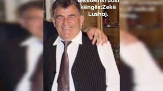 Zekë Lushaj-Hikmetja(Hasan Fazlia)