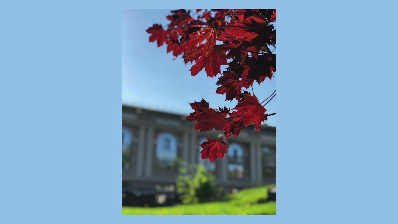 Tom Day – Forwards (Ilya Kuznetsov Rework)