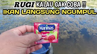 SUNGGUH DILUAR NALAR !! CAMPURAN LUMUT INI TERUJI AMPUH UNTUK MANCING NILA LIAR