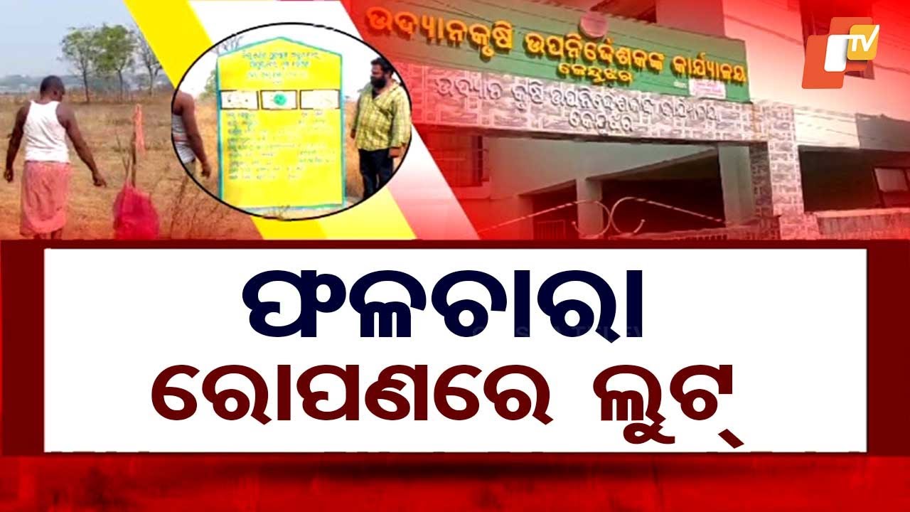 Yojana Ra Naa Hariloot | Massive Corruption Alleged in Fruit Plantation Scheme in Keonjhar