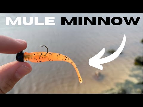 The Mule Minnow - The BEST Lure for Ultralight Fishing! 