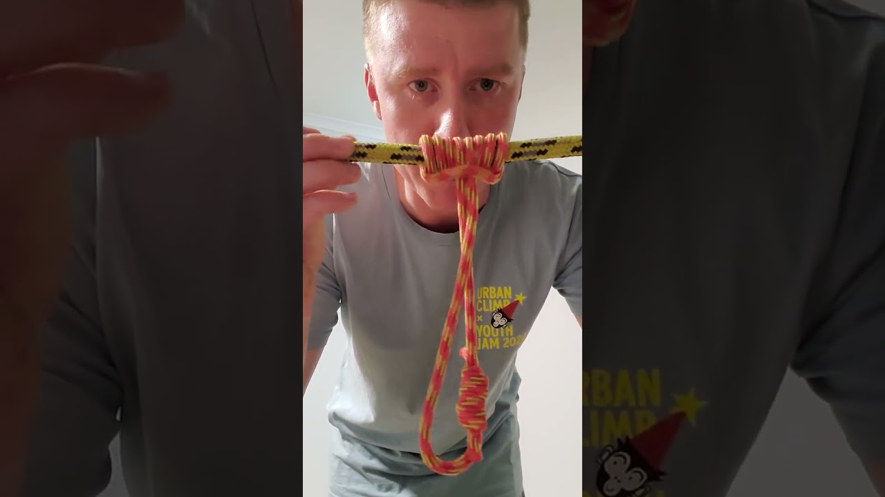 Bryn Norris - AHCARB322 Access trees for inspection - Knots 1