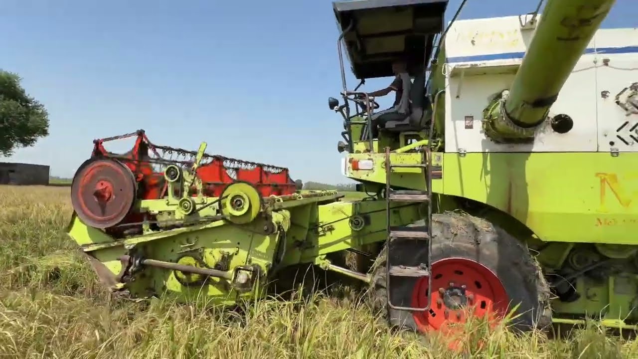 खेतों  में दस्स गईं | Combine harvester | 🚜@sunnymehlavlogs 
