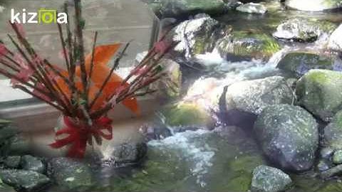 Kizoa Movie - Video - Slideshow Maker: spring in my school ltd 1