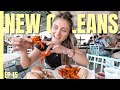 ULTIMATE New Orleans Food Tour and Swamp Tour | New Orleans Travel Guide [USA Road Trip 2021]