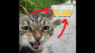 Millenial Flow Parkurrrrr yepiiiii (Dev Diary #6)