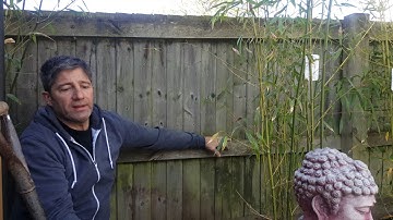 How to Install Bamboo Root Barrier Made Easy