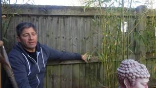 How to Install Bamboo Root Barrier Made Easy