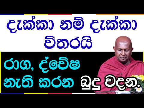 අවිද්‍යාවේ සිට ජරා මරණ දක්වා පෙළගැසෙන සත්‍යය | පූජ්‍ය තපෝවනයේ අරියධජ හිමි 1037