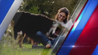 Furry Friends: Meet Milo