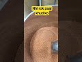 nhi rok paai khud ko #viral #youtuber #trending #funny #memes #shorts