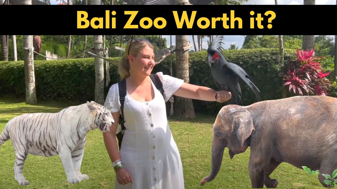 Is Bali Zoo Worth Visiting Is Bali Zoo Worth Visiting