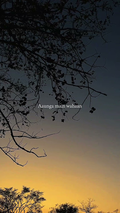 dil ka jo haal hai 🤍⚡️ | song | status | #song #trending #music #viral #asethetic