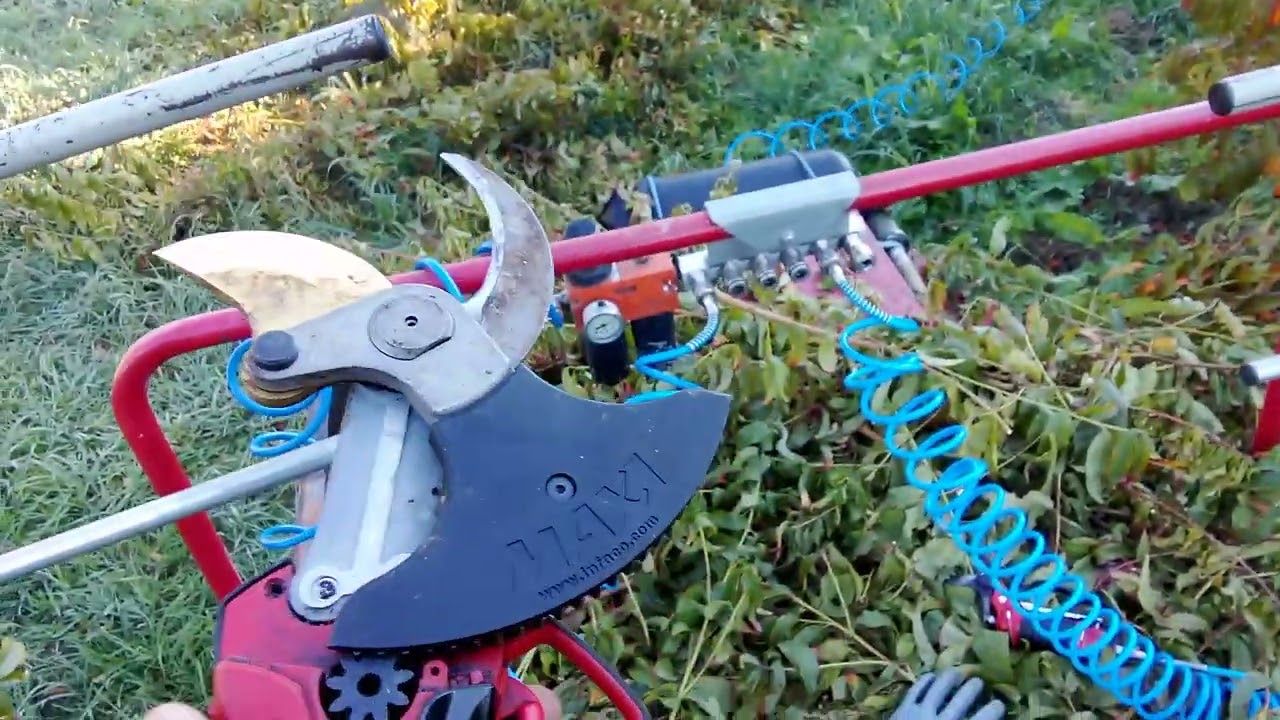 #الفلاحة في #فرنسا  أجواء العمل و كيفية تقليم الاشجار #الخوخ و #الفلاحة #كونطرات #الفلاحة