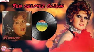 Neşe Karaböcek - Sen Gelmez Oldun /1982 (Orjinal Plak Kayıtıları ) Resimi