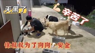 2021-10-4 Stray dogs rescue in Wuhan China 天已黑了，忙碌一天的徐叔还没有休息，还在为狗狗的安全垫砖呢。