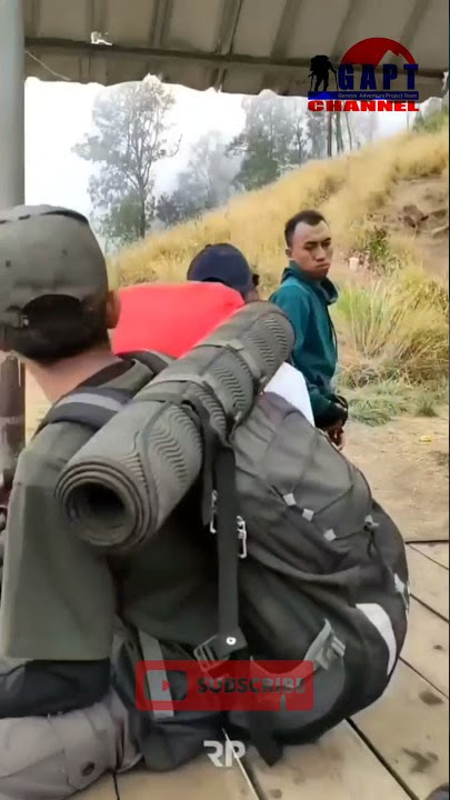 Bunga Edelweis di Puncak Gunung Rinjani #shorts #bungaedelweis #puncakgunung #gunungrinjani