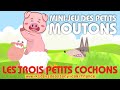 Les Trois Petits Cochons 🐷🐷🐷 Jeu des petits moutons #lestroispetitscochons