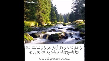 سورة النحل - الآية 97 - القارئ علي جابر رحمه الله