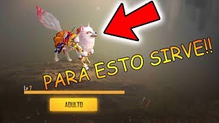 MEJORO MI MASCOTA al MAXIMO *ZORRITO ESPIRITUAL* DE LA NUEVA ACTUALIZACIÓN!! FREE FIRE - Kurko