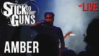 Stick To Your Guns - Amber (LIVE) in Gothenburg, Sweden (24/10/2016)