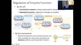 BIO 201 Chapter 7 Lecture