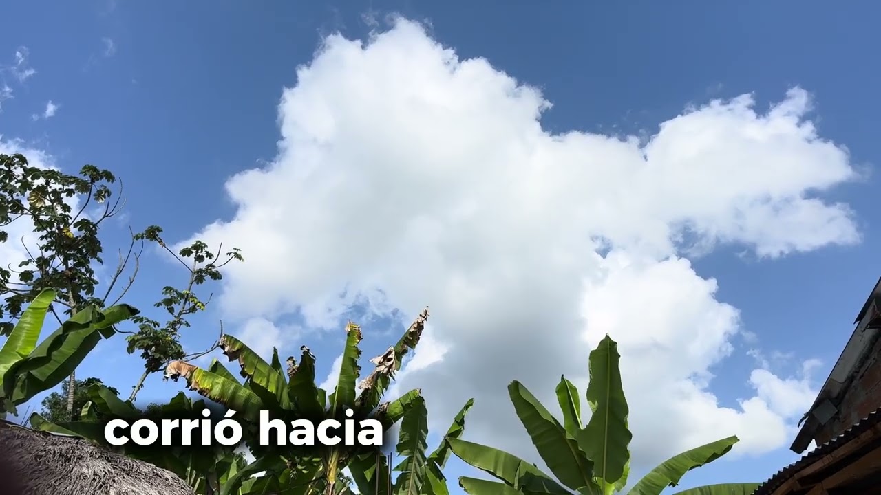 Canción cristiana - Cuando volví a casa 