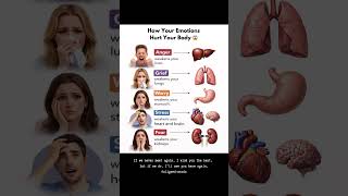 How emotions hurt your body #shorts #health #emotions #healthfacts #bodyfacts #humanbody #education