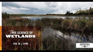 Full Science of...Wetlands Guide
