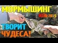 Рыбалка 2019 Мормышинг творит чудеса!!! Осенняя рыбалка