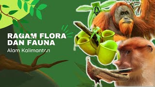 Flora dan Fauna Kalimantan
