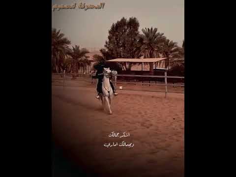 حالات واتس خيل و خياله عبدالله ال مخلص اشـكر جمـالك ياناعـس العينين يا زهـر الاوجـان