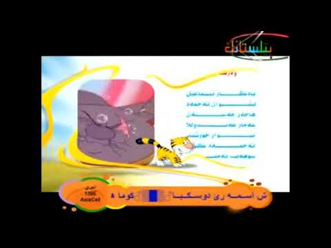 Billy The Cat Credits Kurdish Central 