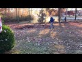 Leaf Blowing Timelapse 11.26.2016 | BR700