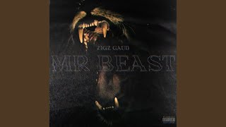 MrBeast - Zigz Gaud