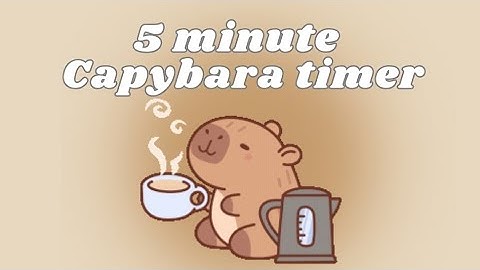 ☁️☕️ Capybara timer ☕️☁️ [ 5 minute Capybara timer ]