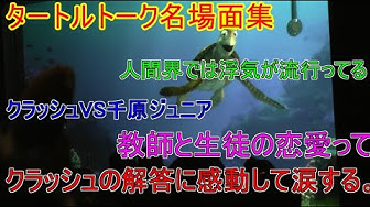 タートルトーク Youtube
