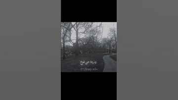 ياريـحانة عمري اليجـري باسم الكربلائي اناشيد شيعة علي الامام علي الامام الحسين يافاطمه 