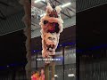 Lion Dance 中国广西博白展鹏龙狮团 14th Penang International High Pole Lion Dance Invitational Competition