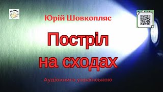 Аудіокнига "Постріл на сходах" | Юрій Шовкопляс | 🎧 💙💛 #аудіокнига