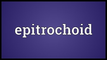 Epitrochoid Meaning