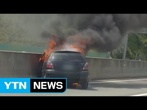 대구포항고속도로 차량 화재...인명피해 없어 / YTN