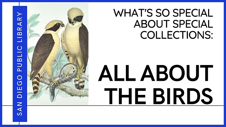 All About the Birds | What's So Special about Spec...