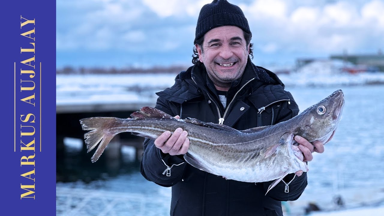 Skreitorsk på sjömansvis | Matresa till Tromsø | Markus Aujalay