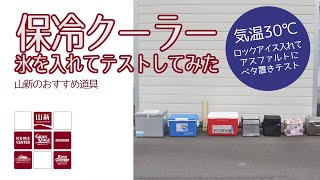 【山新】クーラーバッグ・クーラーボックスをテストしてみた