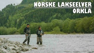 Norske lakseelver  Orkla