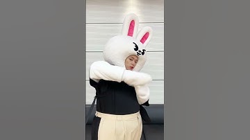 1️⃣4️⃣3️⃣ I LOVE YOU! 🐰🤟 #CASE143 #CASE143Challenge #CASE143챌린지 #StrayKids #스트레이키즈 #LeeKnow #리노