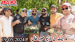 Lalukhet Sunday Birds Market Live Update 2024 @syedbirds