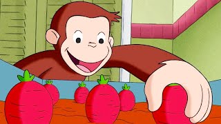 Juicy George 🐵Curious George 🐵Kids Cartoon 🐵Kids Movies 🐵Videos for Kids